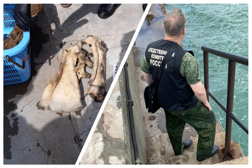В море Новороссийска обнаружили останки 