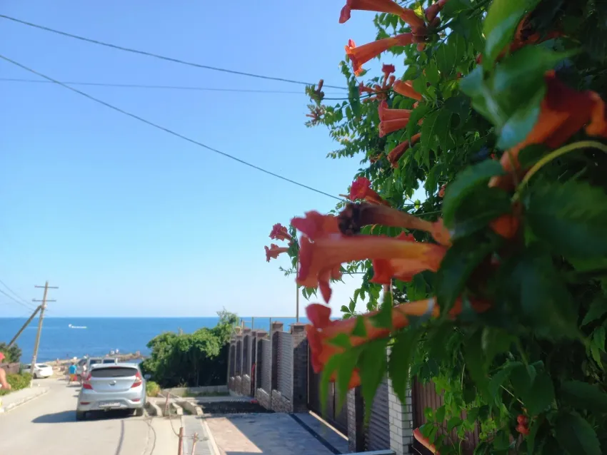 Погода в Новороссийске: облачно и тепло