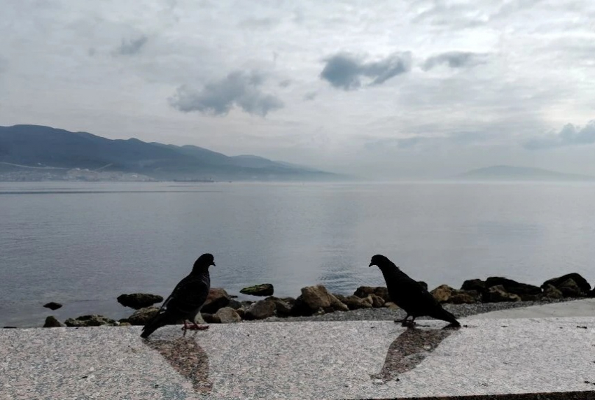 Гороскоп от «Блокнота»: Рыбам проявить любовь к себе, а Близнецам научиться слушать 