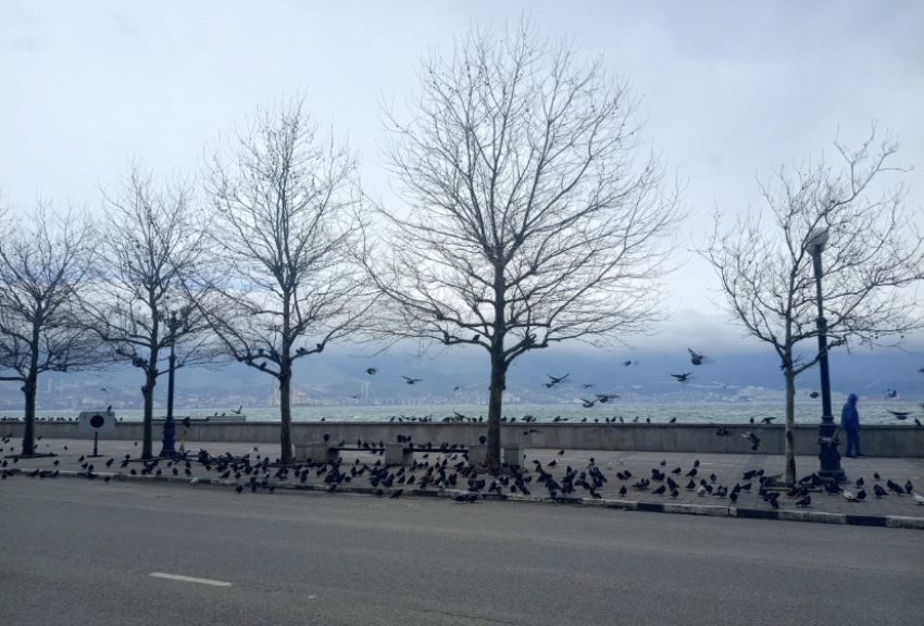 Атака БПЛА в Новороссийске: транспорт не ездит, в школу не идем 