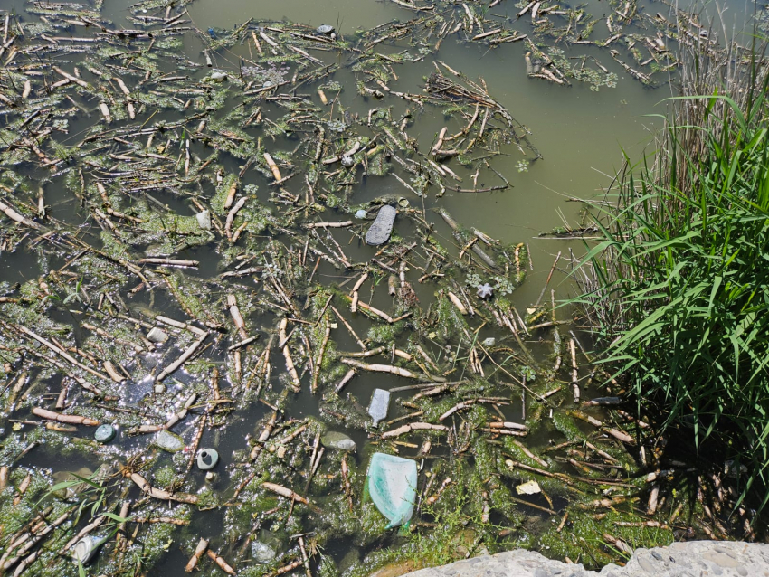 «Привели в отвратительное состояние и бросили». Что происходит с Южными прудами? 