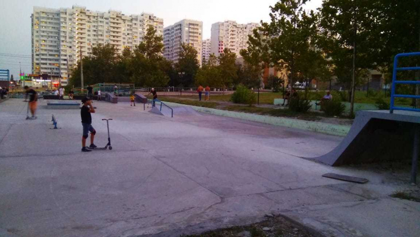 После публикации в «Блокноте Новороссийск» лягушки покинули скейтпарк