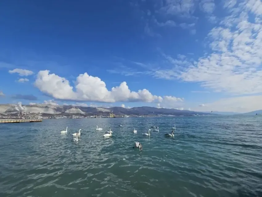 Долгожданное солнышко порадует новороссийцев