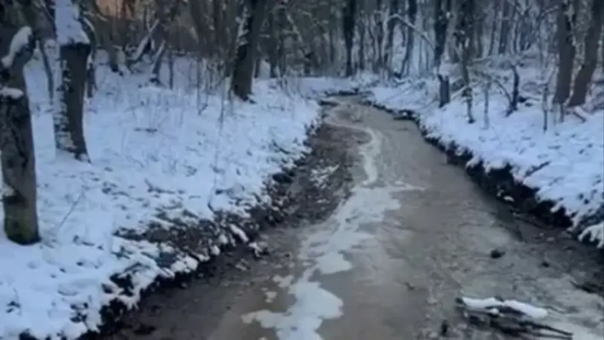 Мусорный полигон отравил реки Новороссийска