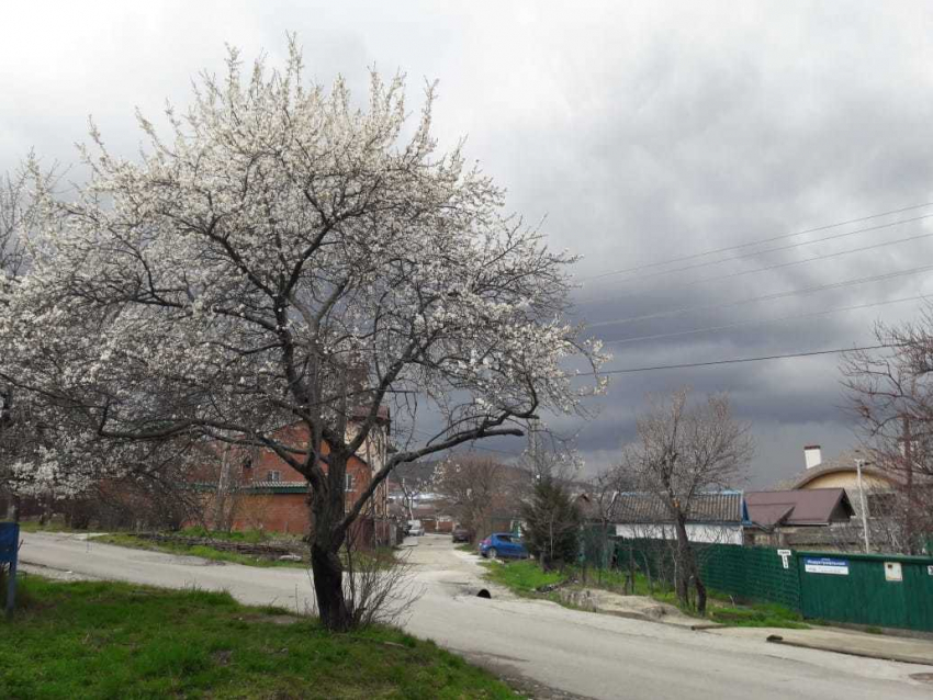 Во вторник в Новороссийске пройдёт небольшой дождь