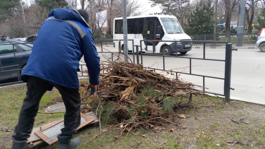 Главное - вовремя: новороссийцы прощаются с прошлогодними листьями в феврале