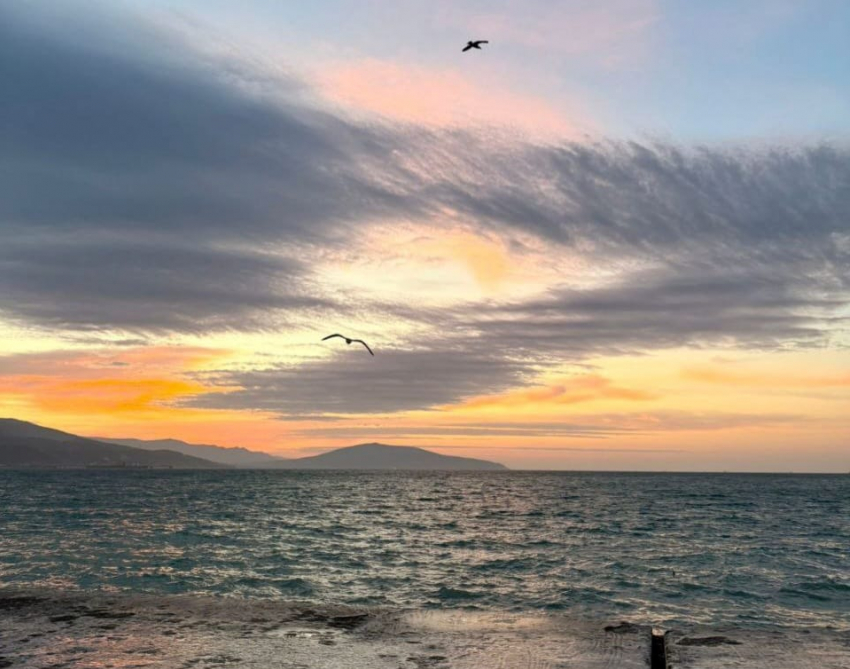 Гороскоп от «Блокнота»: Львам уделить внимание личной жизни, а Тельцам финансам 