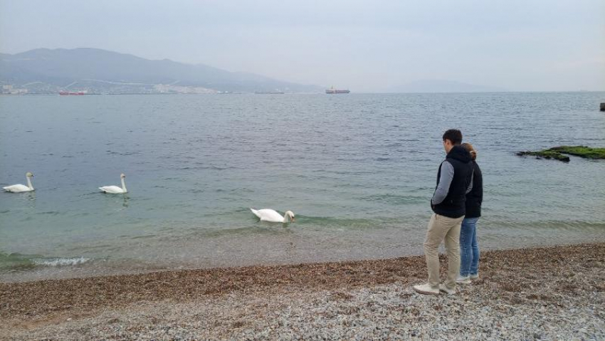 Гороскоп от «Блокнота»: Львам стоит проследить за расходами, а тельцам – сохранить спокойствие