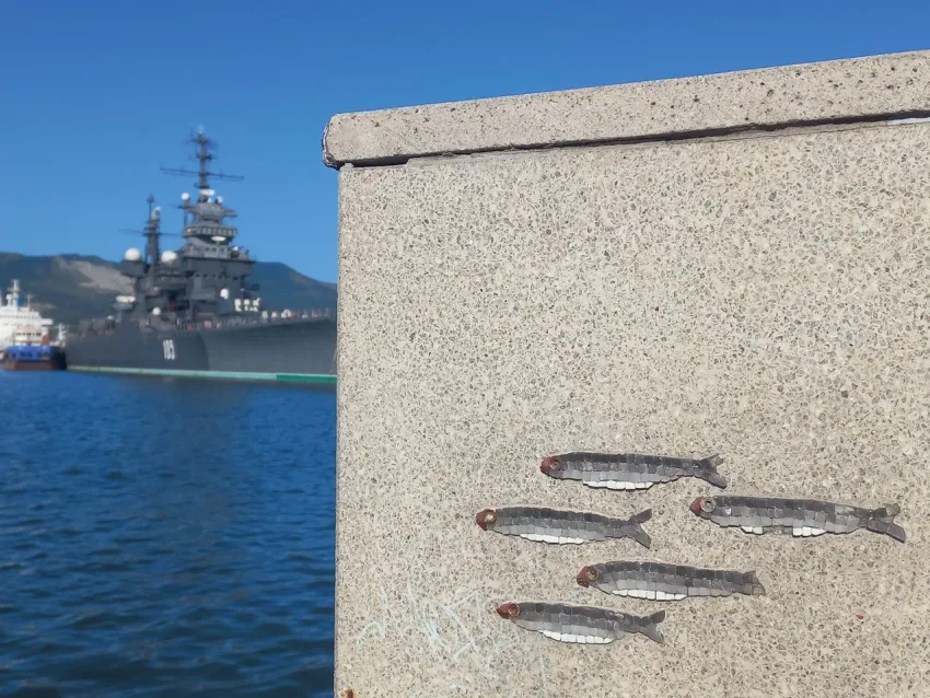 Погода в Новороссийске: облачно, душно, близится осень 