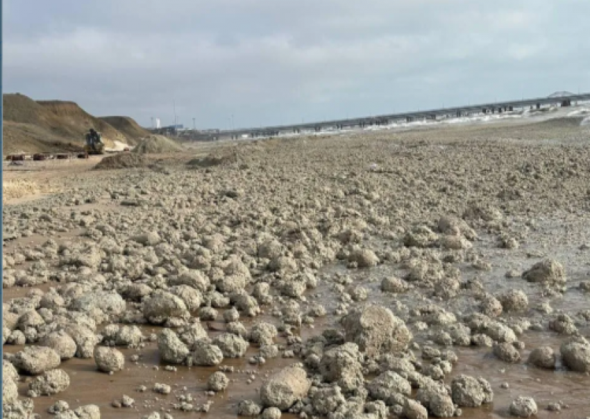С берегов Черного моря волонтеры собирают тонны жировой смеси
