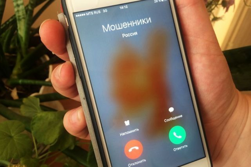Более 39 жертв за февраль: мошенничество в Новороссийске 