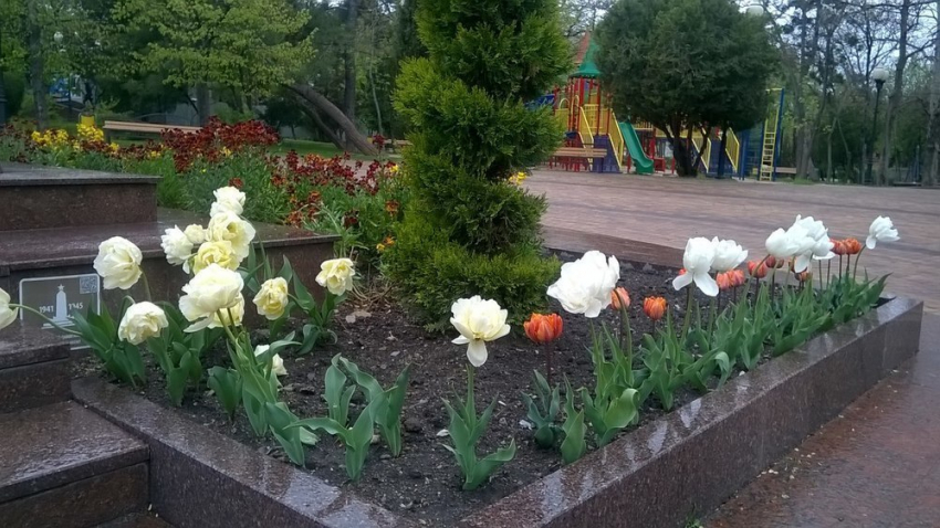 Являются ли парки Новороссийска местом отдыха горожан и гостей города