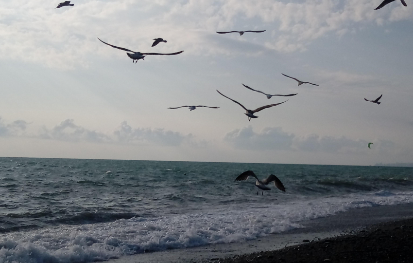 Украина не хочет мира: ночью над Черным морем сбивали беспилотники 