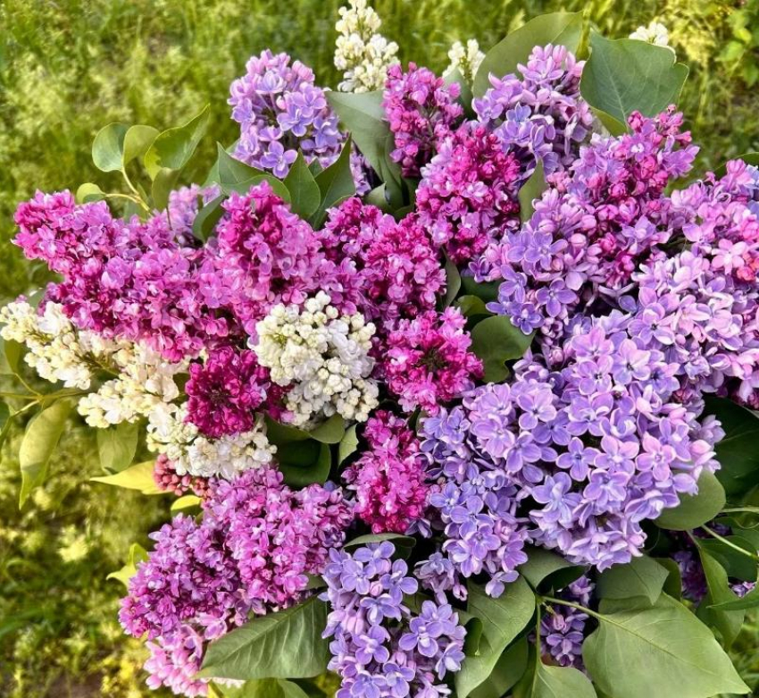 Близнецам звезды советуют заняться творчеством, а Тельцам пора позаботиться о себе