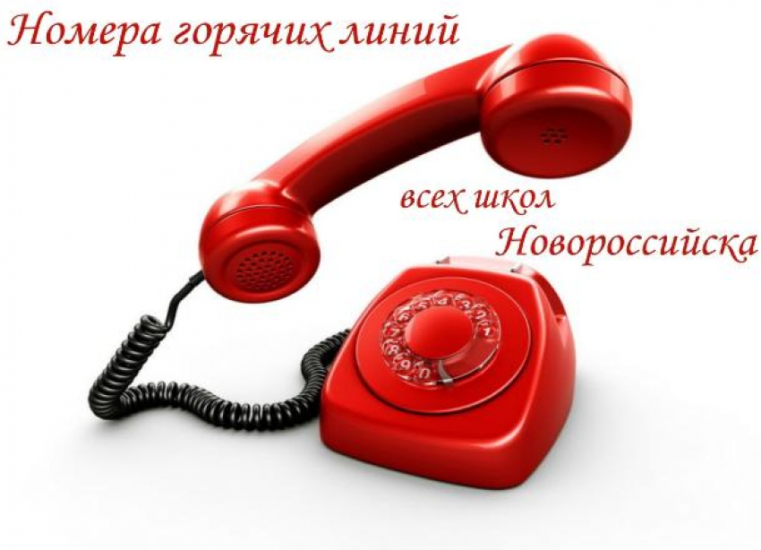 Помощь на дистанционке: список горячих линий всех школ Новороссийска