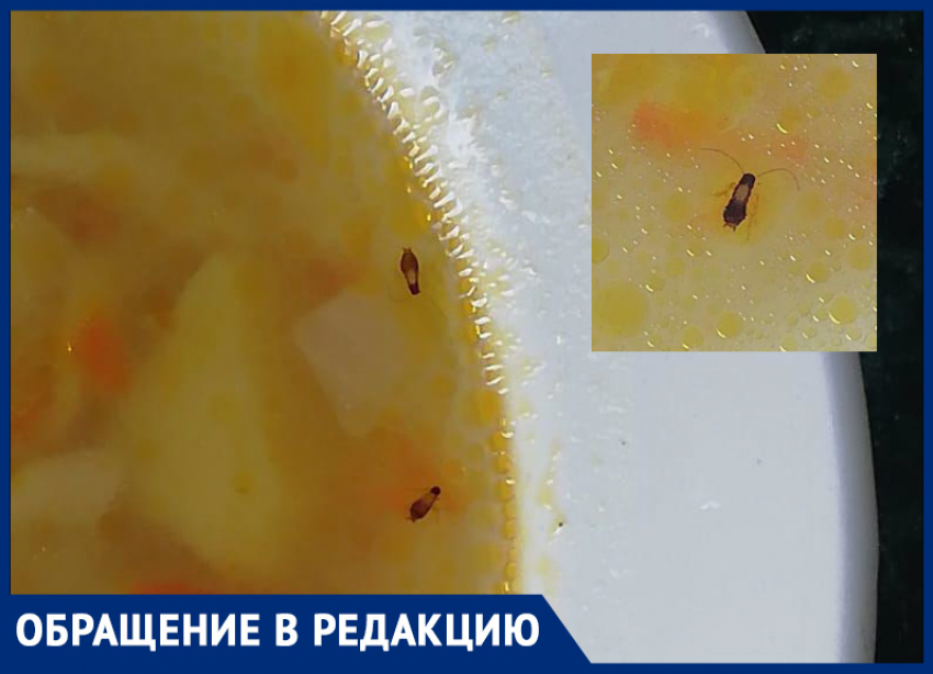 «Протеиновым» супом накормили школьников в пригороде Новороссийска
