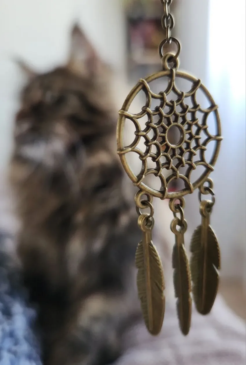 Все дело в деталях: Тельцы, Девы и Козероги сегодня почувствуют себя уверенно