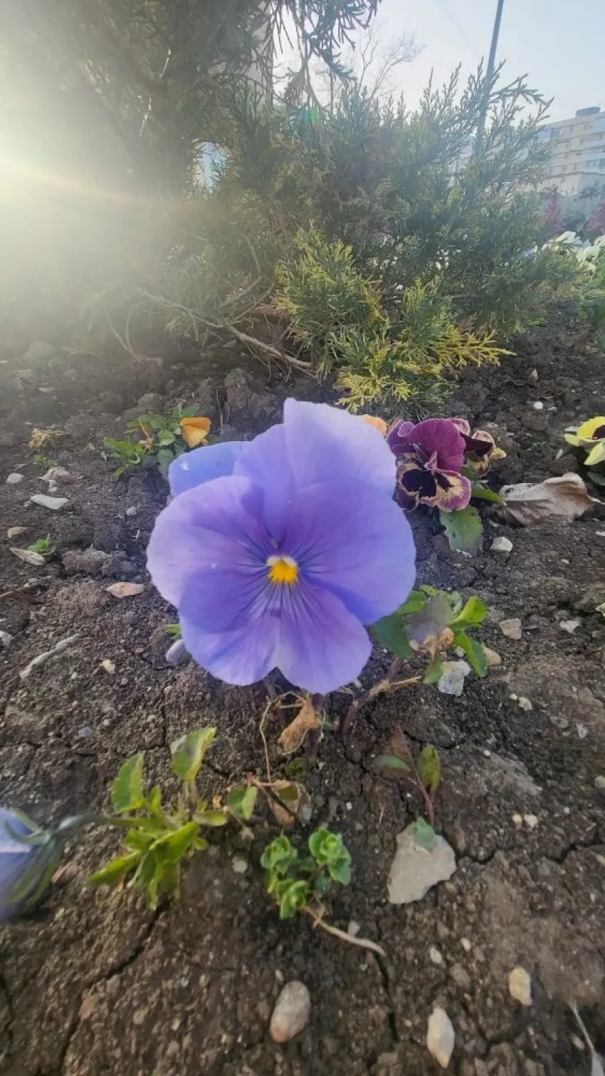 Снимаем шубы: уже к выходным в Новороссийск накроет теплый фронт