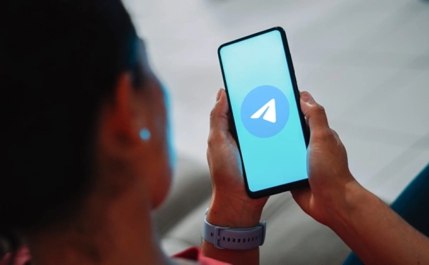 «Это убьет рынок!»: юрист Светлана Кузеванова о запрете рекламы в телеграм