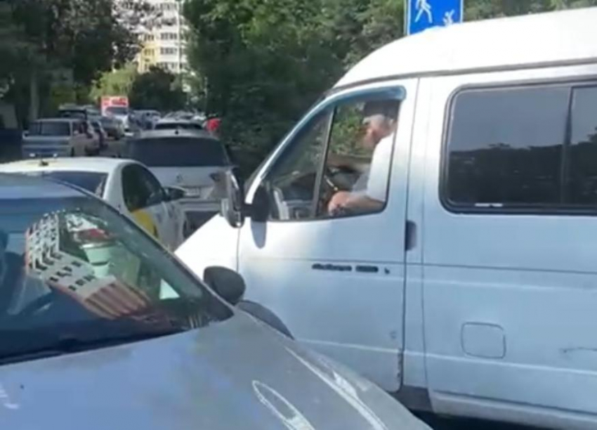 Против газелей новороссийцы хотят пустить в ход ёжиков
