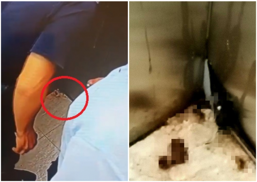 В одном из ЖК Новороссийска в лифте «нагадили» прямо под камерами 