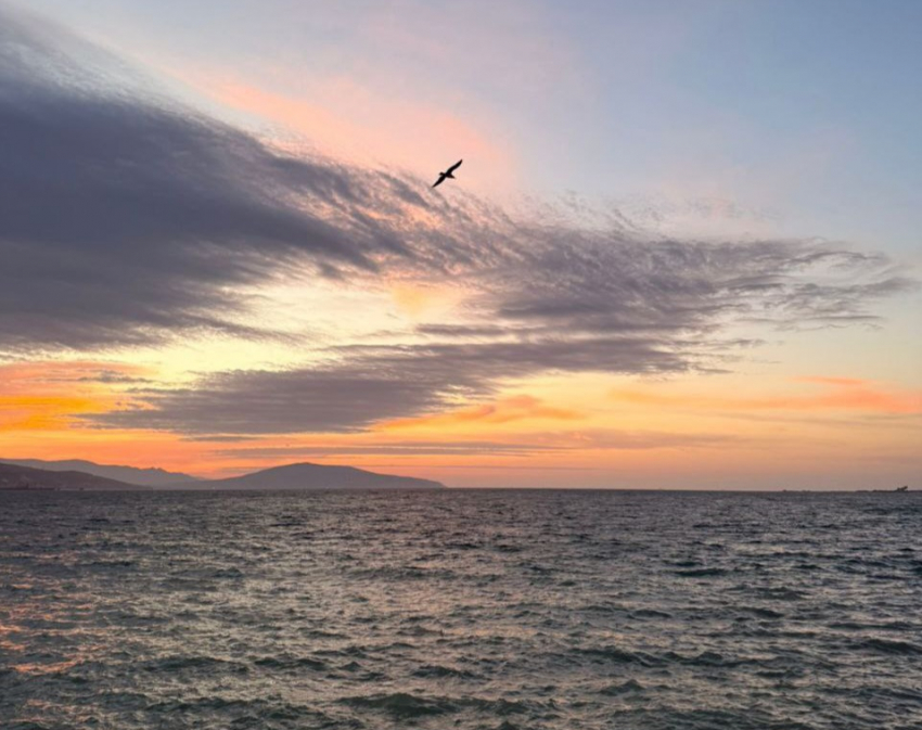 Погода в Новороссийске: тёплый и солнечный день у Чёрного моря