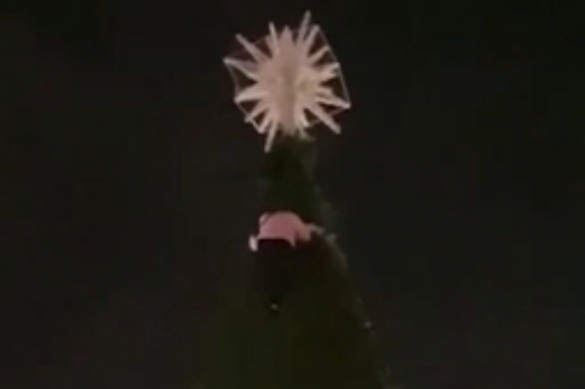 Дотянуться до звезды: женщина залезла на 20-метровую елку в Геленджике 
