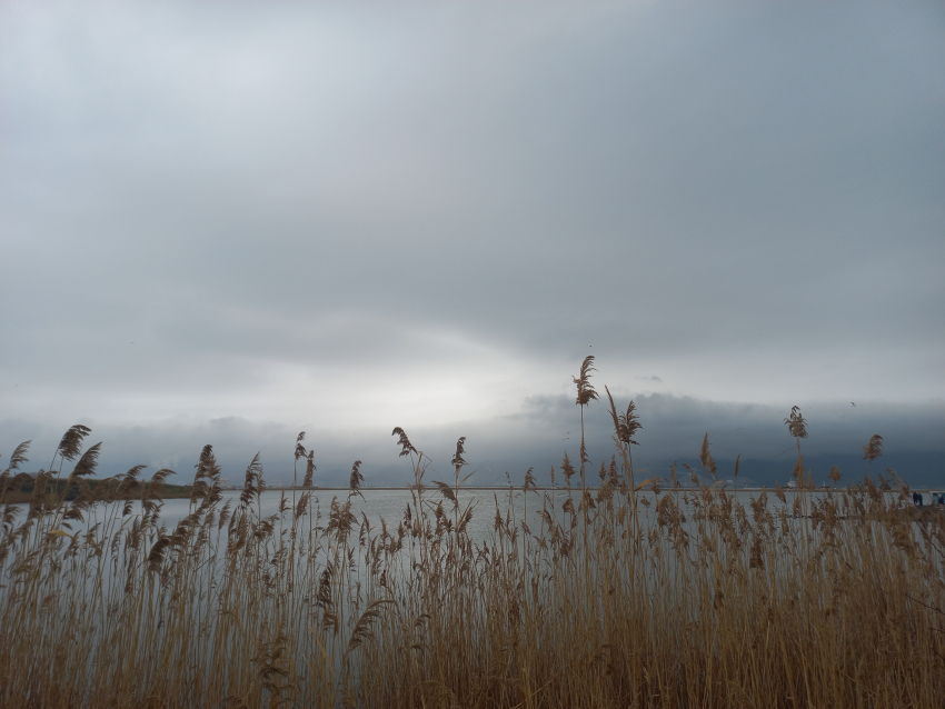 "Бабахнуло так сильно!": в Новороссийске раздался взрыв