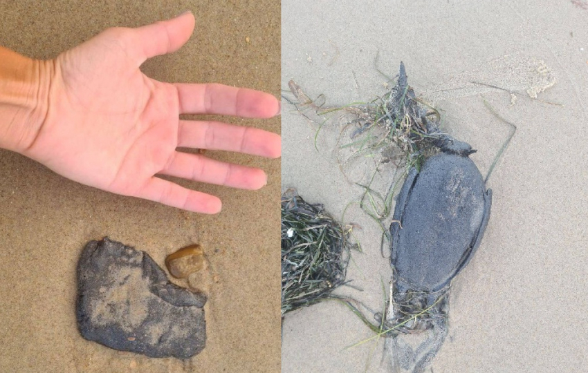 Мазут возвращается! В Анапе и Темрюкском районе на берег выбросило большие черные куски