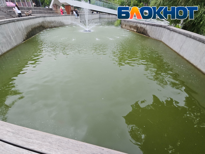 «В парке Галицкого карпов видно», - новороссиец интересуется состоянием пруда в парке Фрунзе
