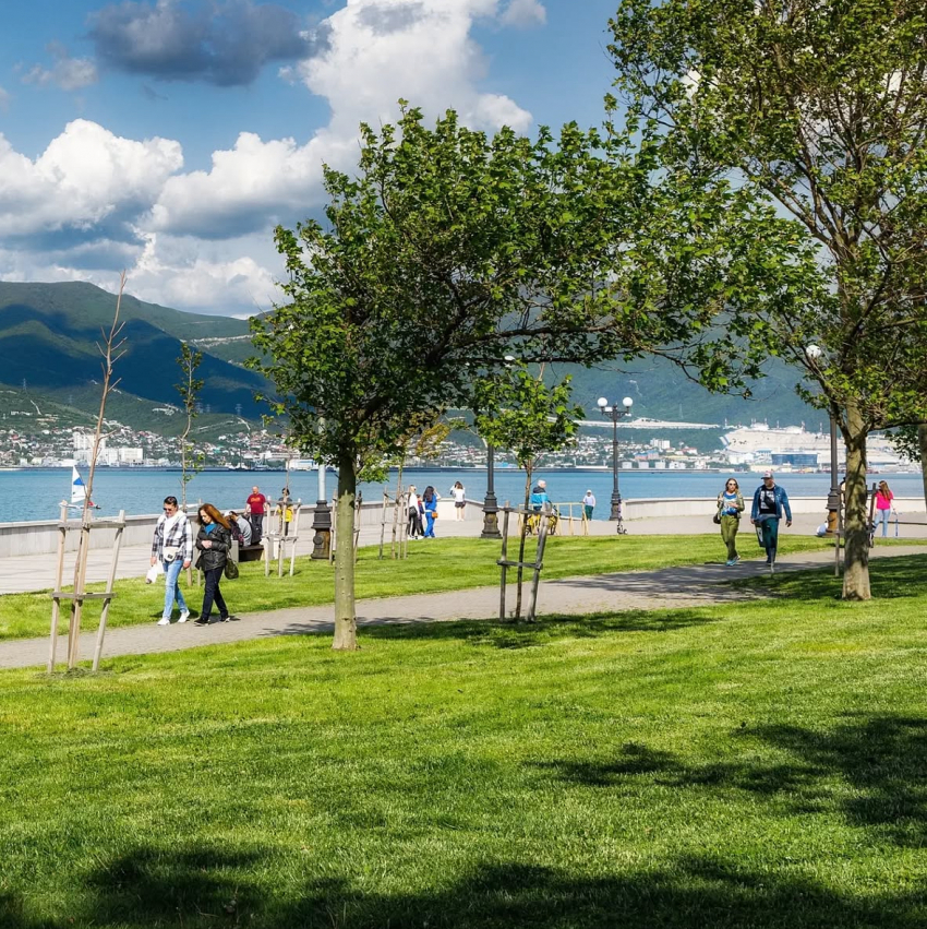 Погода в Новороссийске: долгожданное потепление 