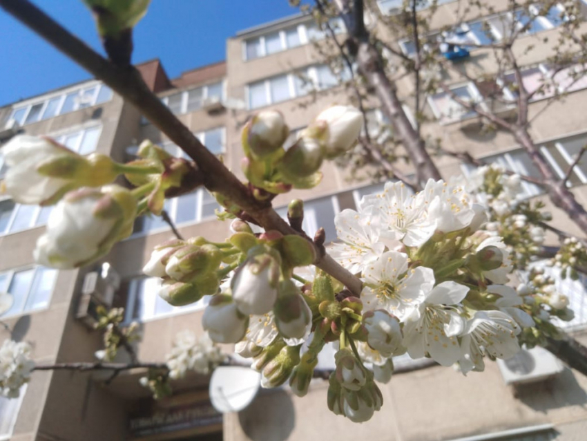 В последний день марта над Новороссийском выглянет солнце