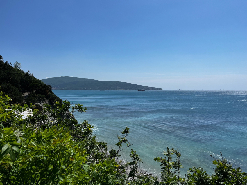 Погода в Новороссийске: солнышко светит, птички поют