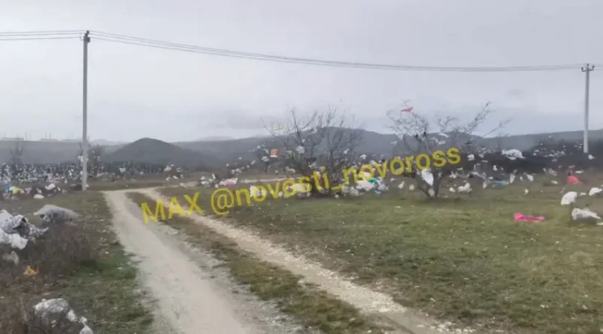 Новая беда на Щелбе: мусор разлетелся с временного полигона в Новороссийске
