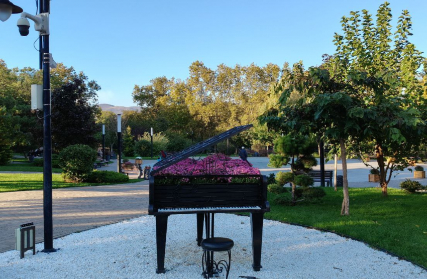 Погода в Новороссийске: ранним утром +6, но к обеду приятно потеплеет 