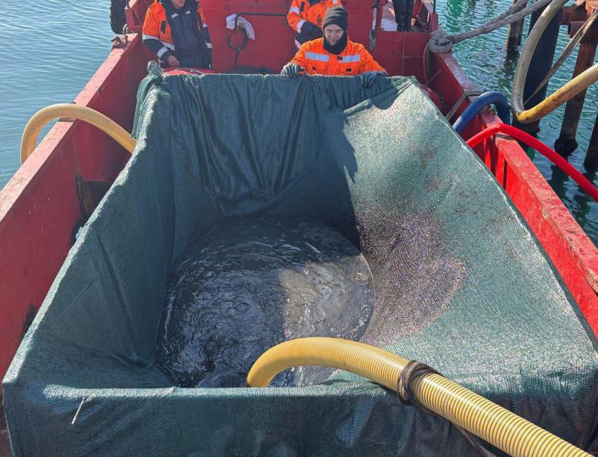 В Черном море применили новую технологию «пылесоса» для сбора мазута со дна