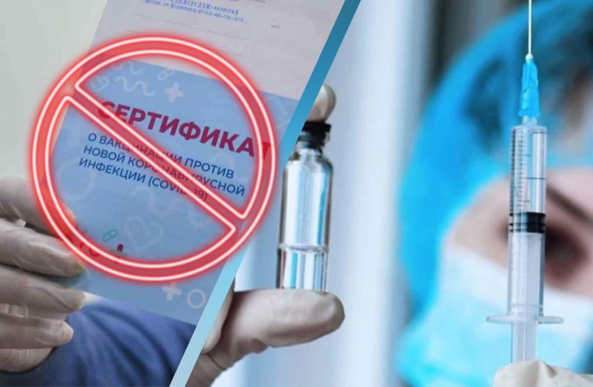 "Наши QR-коды продали": привитые военнослужащие Новороссийска с июля не могут получить сертификат 