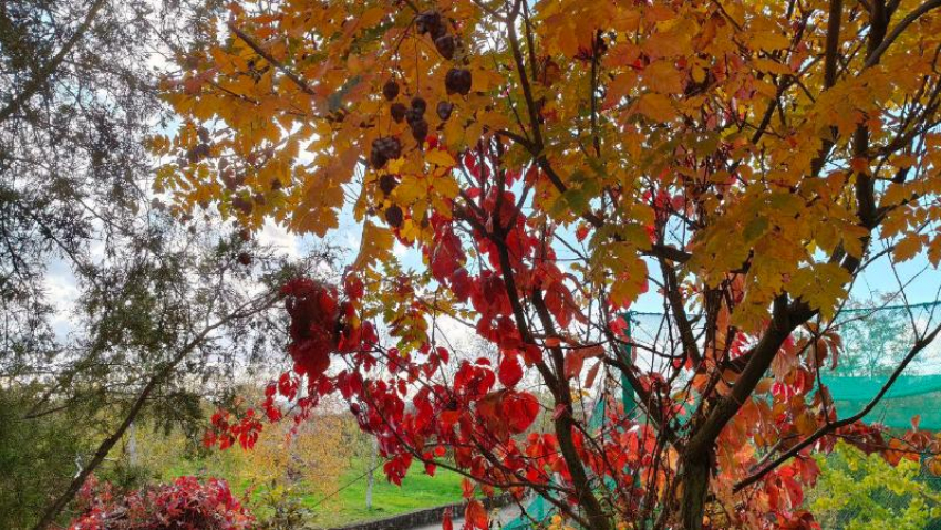 Дежурный по городу: что произошло в Новороссийске за сутки 27 октября