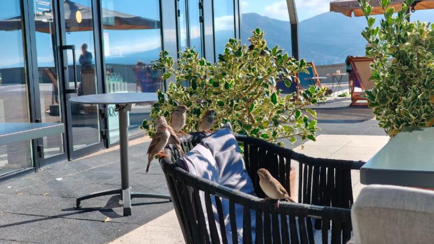 Дежурный по городу: что произошло в Новороссийске за сутки 5 октября