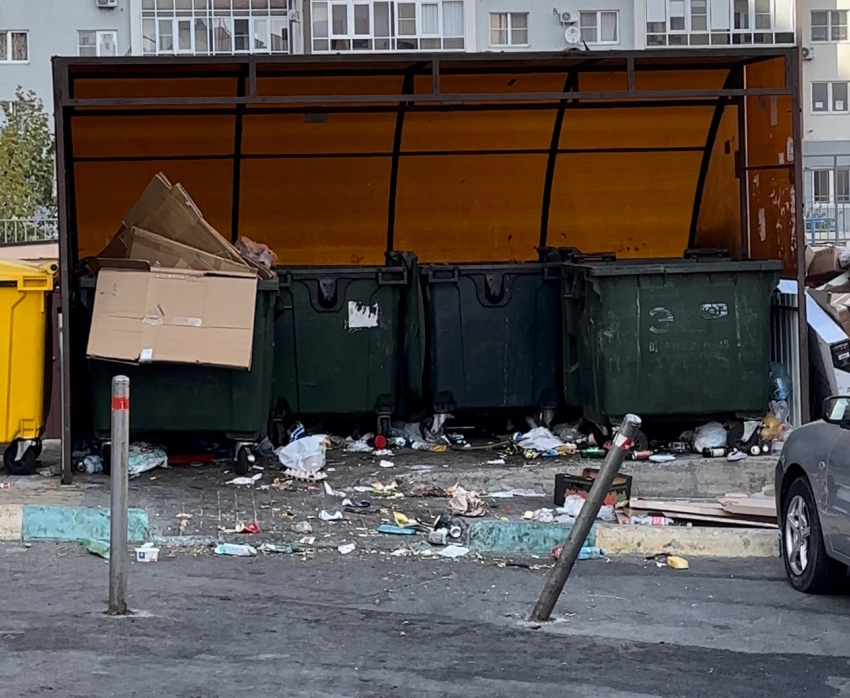 Новороссийцы «в восторге» от зловонной жижи после вывоза мусора