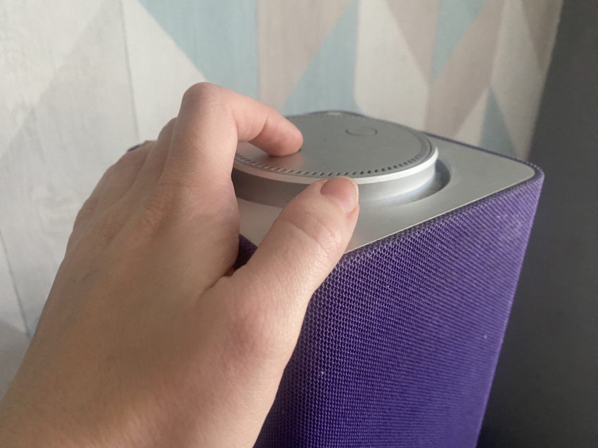 «Алиса» будет звать новороссийцев на выборы