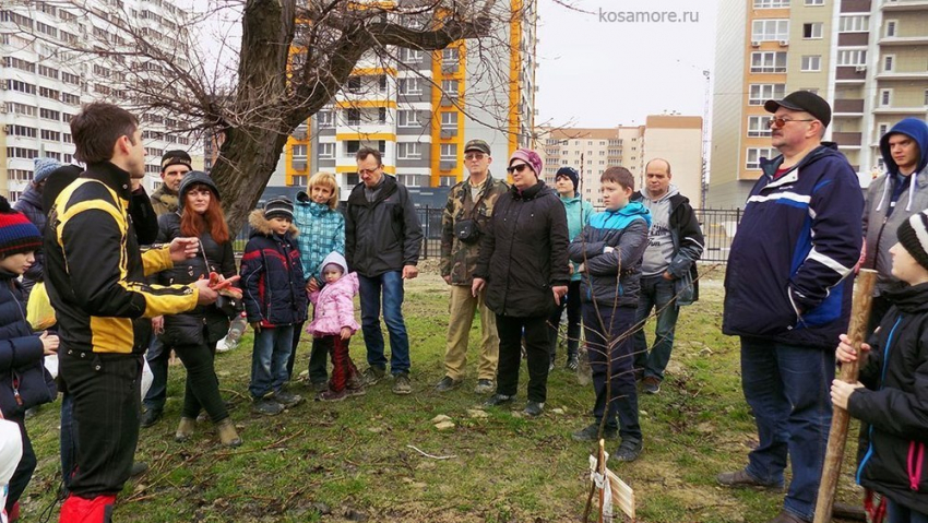 Через 100 лет Пионерская роща в Новороссийске превратится в дубраву