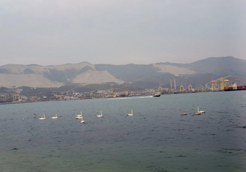 Время пострелять: утро в Новороссийске вновь начнется громко