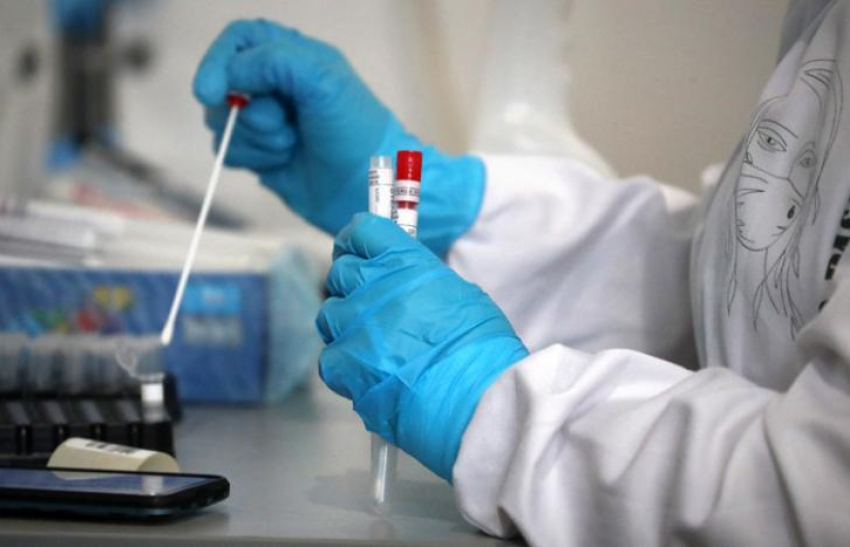Новороссийцы дождались: в Госдуме, предлагают сделать тесты на коронавирус бесплатными