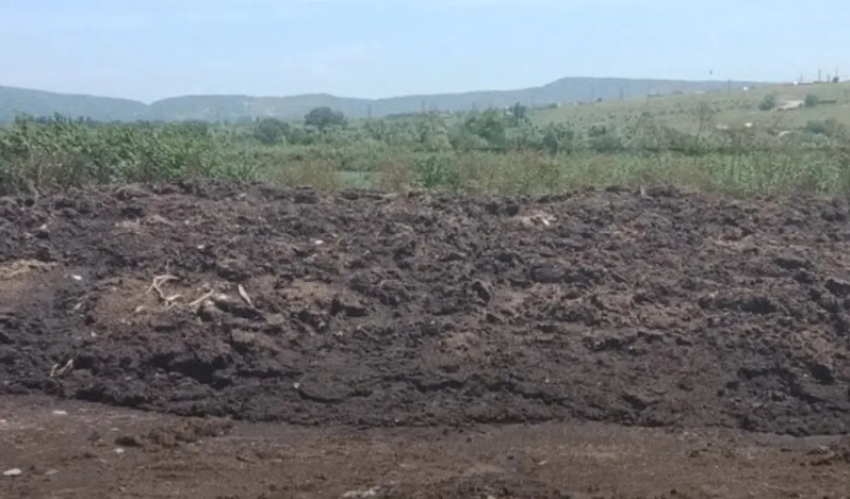 Сотрудники Росприроднадзора обнаружили под Новороссийском свалку птичьих отходов
