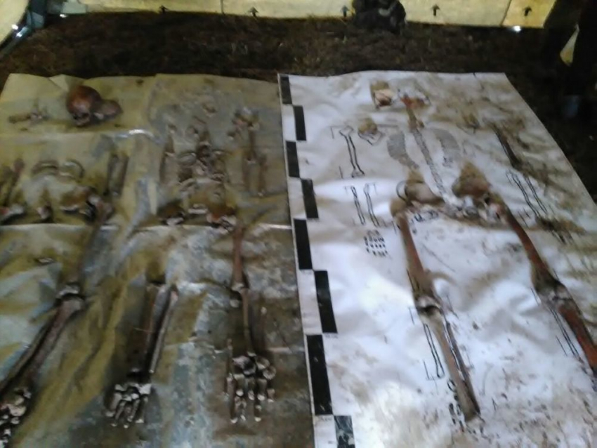 50 человек выкопали в ливневке под Новороссийском