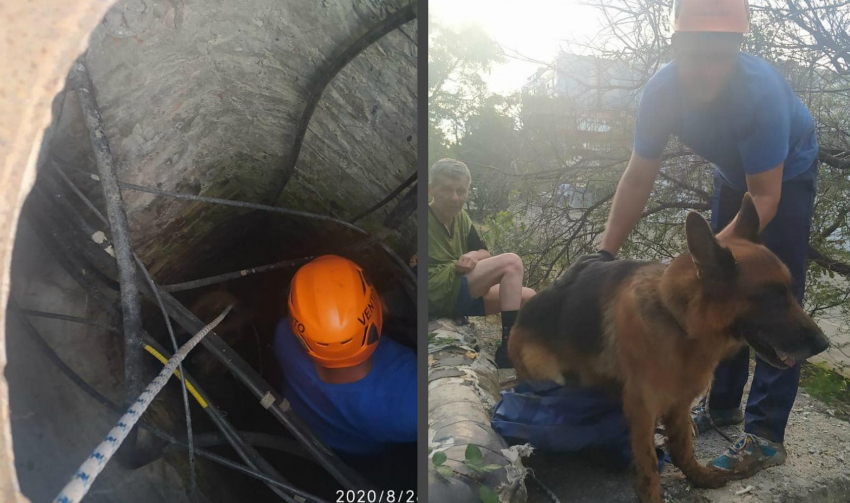 Новороссийские спасатели вызволили пса, упавшего в колодец: история спасения