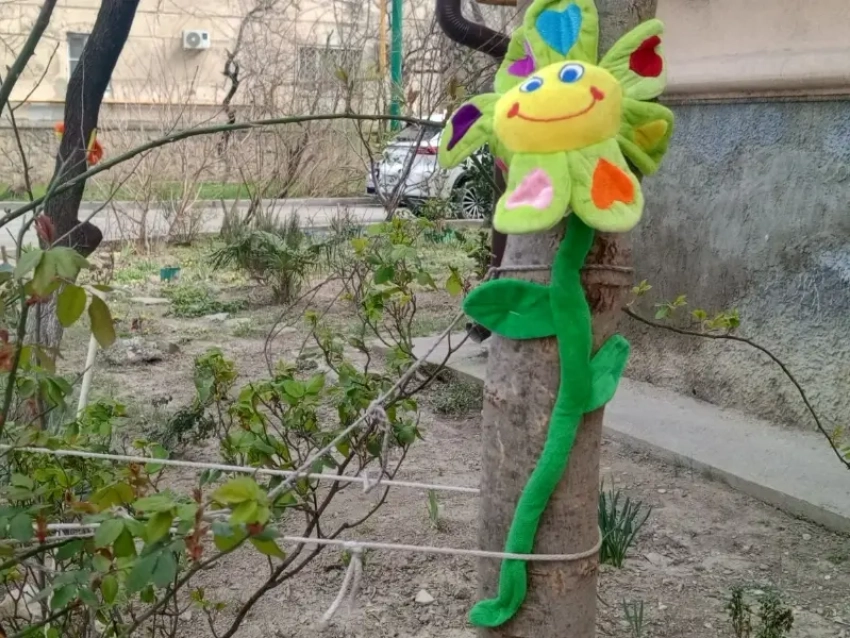 Новороссийцы отогреются: плюс пятнадцать