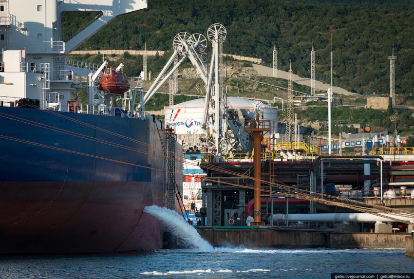 ФАС обвиняет Новороссийский морской торговый порт в злоупотреблениях доминирующим положением