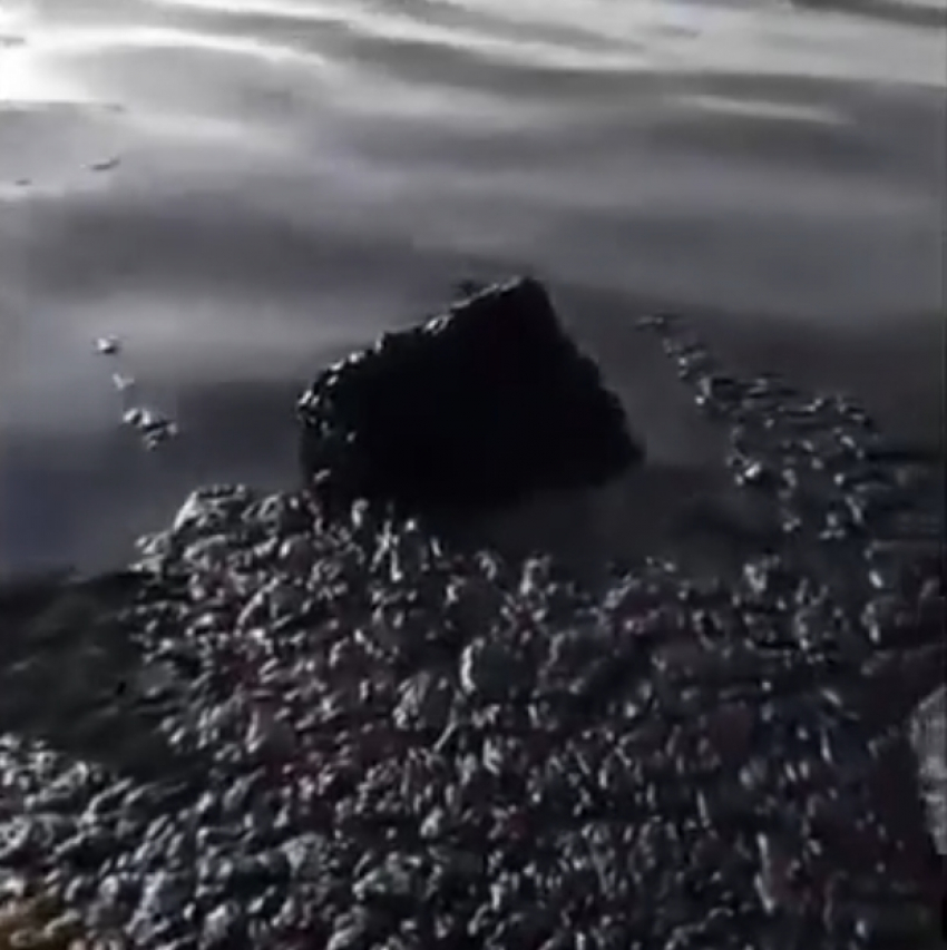 В Азовском море в Краснодарском крае заметили пятна мазута после атаки БПЛА
